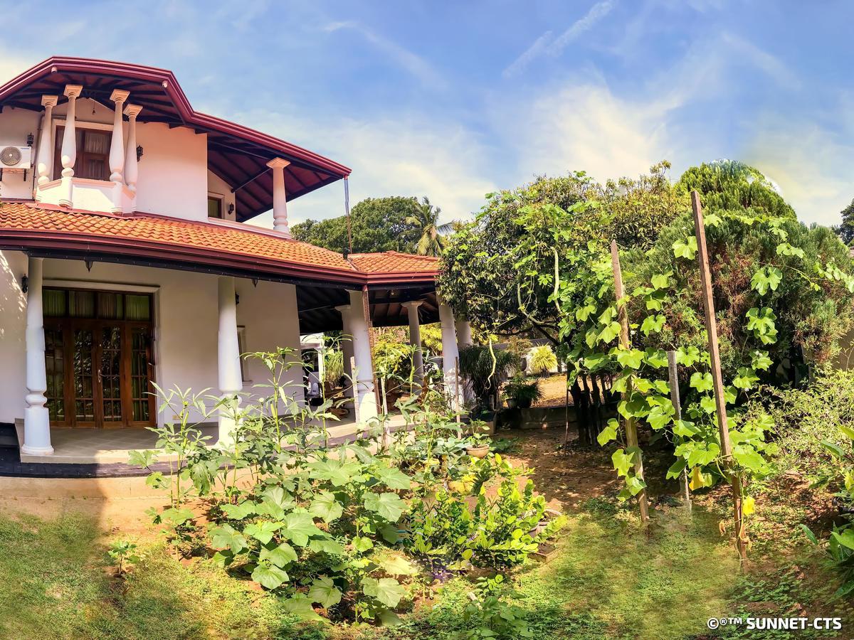 Ceylon Pearlwing Resort Negombo Eksteriør billede